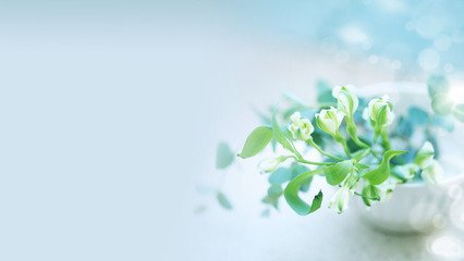 剪板機(jī)價(jià)格變動(dòng)受哪些因素影響